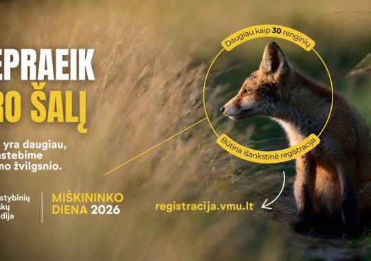 Miškininko dienos 2026 kampanijos „Nepraeik pro šalį“ reklaminis baneris