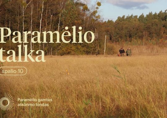 Paramėlio talkos Katros pelkėje anonsas