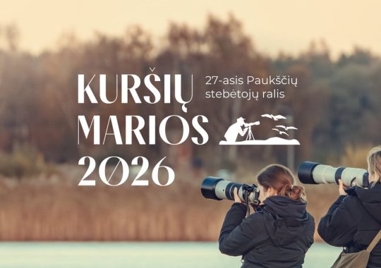 27-asis pauksciu stebetoju ralis Kursiu marios 2026